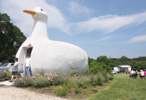 BARBARAELLEN KOCH FILE PHOTO | The Big Duck.