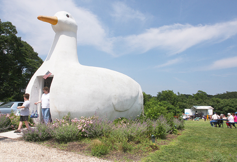 BigDuck01._BE_R1.jpg