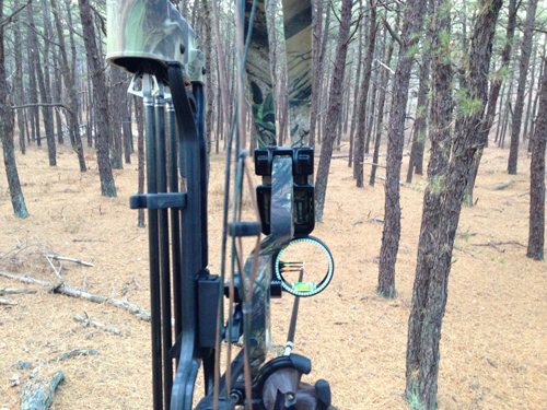A proposal to allow bowhunting on county property by non-Suffolk residents was recently withdrawn. (Credit: Joseph Pinciaro)