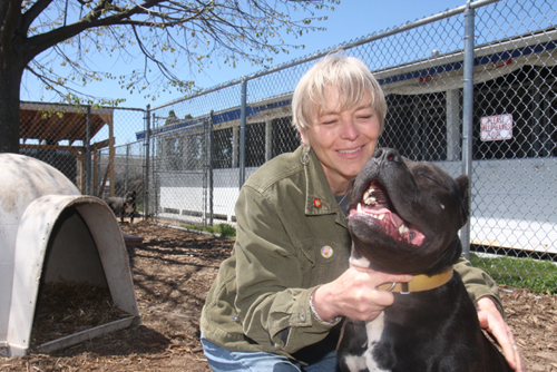 Eileen Kreiling, manager of the North Fork Animal Welfare League's Riverhead shelter, with 4-year-old pitbull Benny, who has been at the shelter since February. (Credit: Barbaraellen Koch)