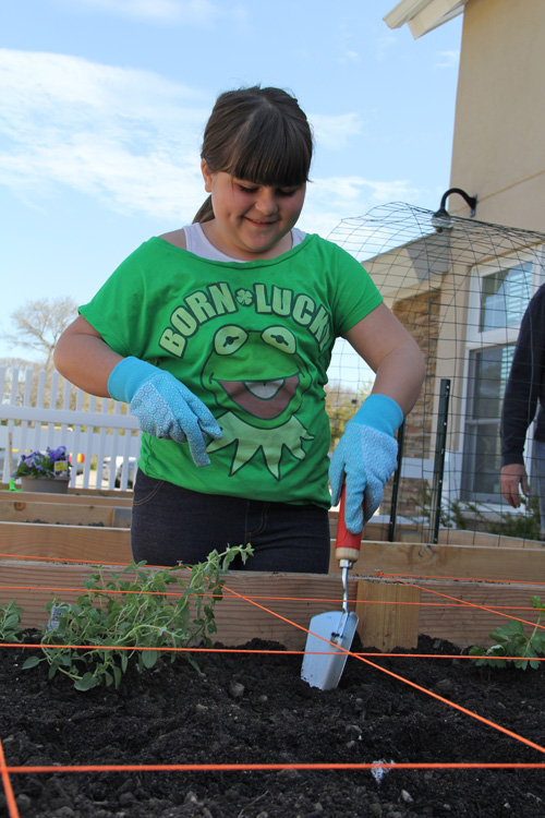 Kate Pennacchia, 9, of Hampton Bays helping plant herbs and vegetables in the Southampton Senior Services sponsored box. 