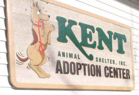 Kent-Shelter1