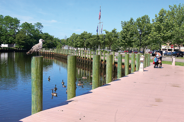 The proposed bridge will connect Riverside parkland with the downtown riverfront boardwalk. (Credit: Barbaraellen Koch, file)