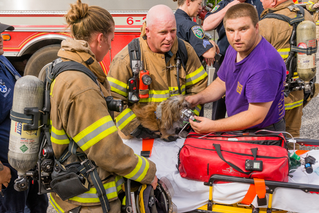 Left: Riverhead Fire Department ex-chief Frank Darrow, center, holds the dog he rescued from the burning mobile home as Riverhead Volunteer Ambulance Corps corpsmen Jason Parker provides oxygen and Riverhead firefighter Marissa Kess assists. (Credit: Tom Lambui / LI Hot Shots)