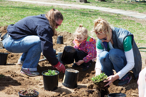 Tonya Witczak (left) and her daughter Julianna planting with Missy Weiss. (Credit: Katharine Schroeder)