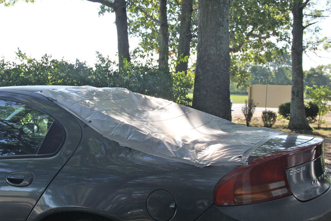 The back windshield of this car was shot Thursday afternoon. (Credit: Carrie Miller)