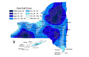 COURTESY CORNELL COOPERATIVE EXTENSION | A map shows the average first frost date throughout the state.