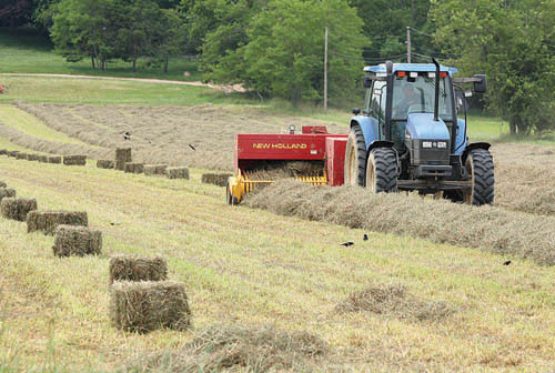 BARBARAELLEN KOCH FILE PHOTO | Aquebogue farmer Donald McKay cutting a field of hay on Sound Avenue in Riverhead. 