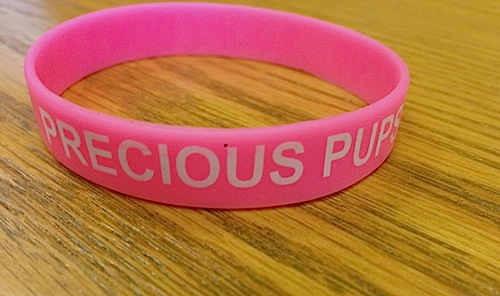Supporters of Precious Pups donned this bracelets during Friday's court date. (Cyndi Murray photo)