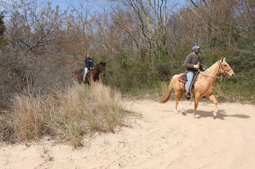 East End Livestock and Horsemen's Association members take trail rides in the spring and fall each year after getting permission from the state parks department. (Credit: Barbaraellen Koch, file)