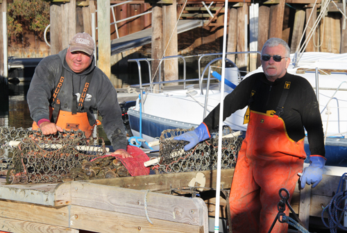 CARRIE MILLER PHOTO | Ed Densieski of Riverhead and Gary Joyce of Aquebogue scalloped in waters off Robin's Island, taking home six and half bushels of scallops opening day. 
