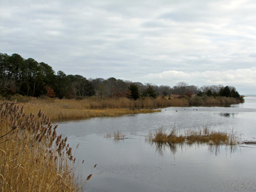 Suffolk County has OK'd the appraisal of a 94-acre property near Indian Island in Riverhead. (Credit: Tim Gannon)