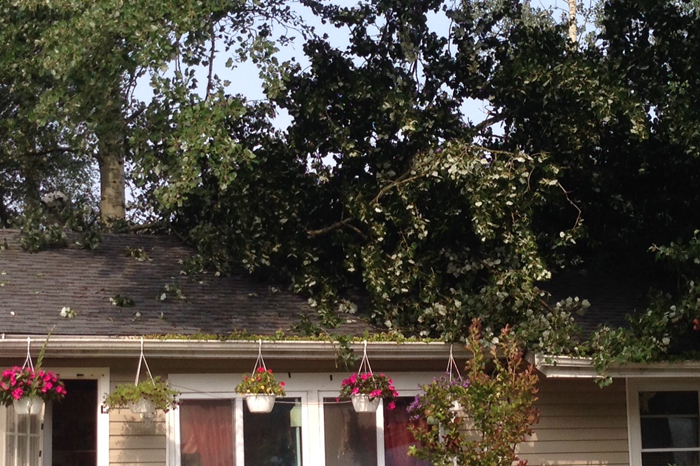 Tree limbs hang on a house on Wilson Avenue in Riverhead. (Credit: Joe Werkmeister)