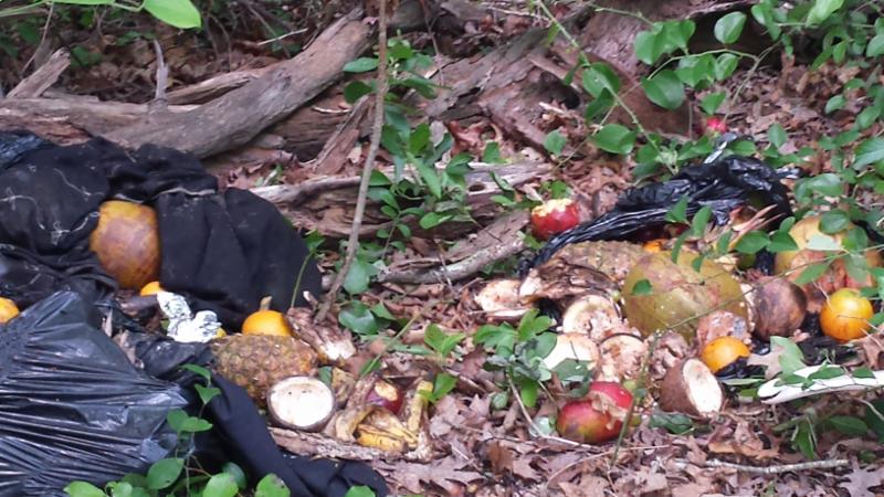 Decapitated goats and fruits and vegetables were discovered dumped in Calverton (courtesy photo)