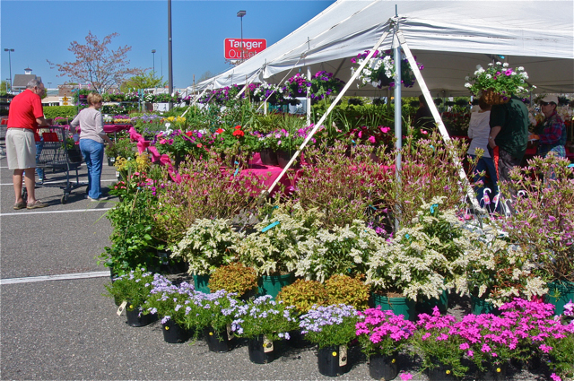 Peconic Bay Medical Center's 20th annual Garden Festival in the parking lot by Office Max at Tanger II. (Credit: Barbaraellen Koch)