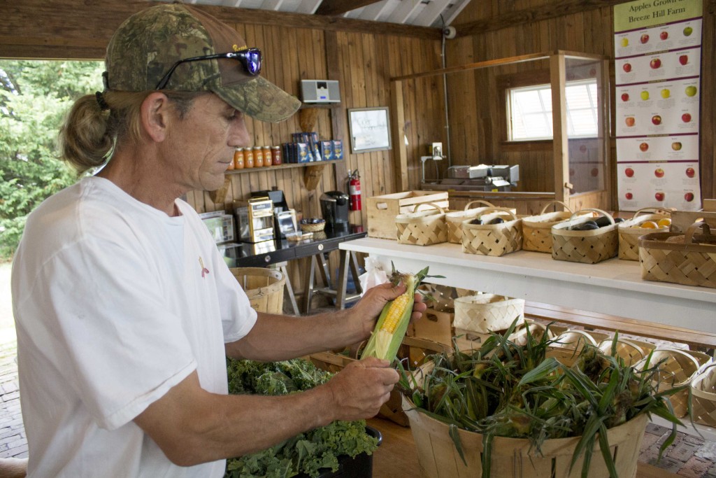 On Thursday, Scott DuBois at Breeze Hill Farm was selling corn he purchased from Georgia, but by Friday or Saturday, he will begin selling his own corn — just in time for the Fourth of July weekend. (Credit: Chris Lisinski)