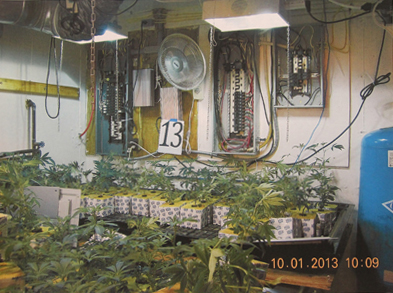 COURT DOCUMENT IMAGE | A photo police say was taken inside Edward Dispirito's home during a raid on his property Tuesday morning. Other photos show sets of plants arranged in rows in Mr. Dispirito's basement and garage.