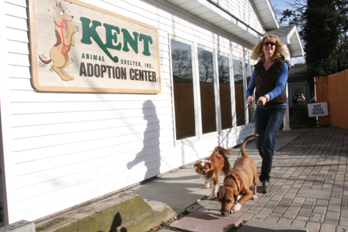 Pam Green of Kent Animal Shelter. (Credit:  Barbaraellen Koch, file) 