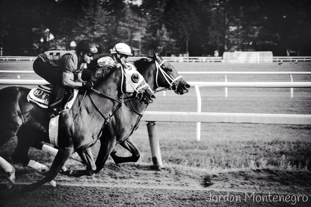 Jordan Montenegro took this photograph in August 2014 at the horse races in Saratoga, N.Y. (Credit: Courtesy) 