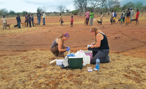 Gillian Wood Pultz (right) and another African Network for Animal Welfare (ANAW) volunteer prep a satellite clinic to administer rabies vaccines to dogs in the city of Voi, located in southern Kenya. (Courtesy photo)