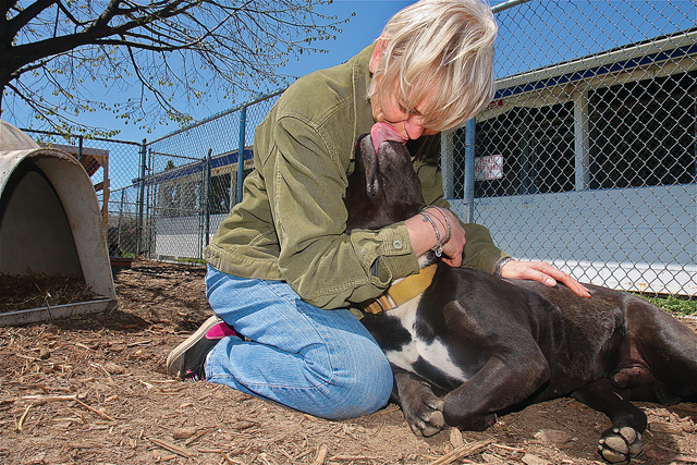 NAWFL Riverhead Shelter manager Eileen Kreiling with pit bull Benny, 4. He was rescued from a kill shelter in Brooklyn. (Credit: Barbaraellen Koch)