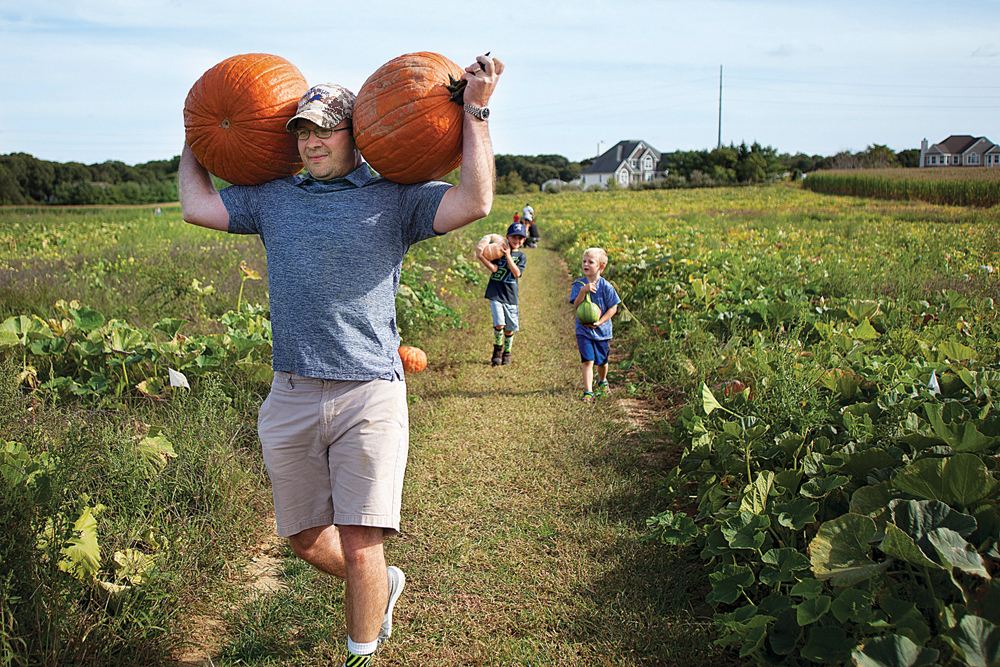 A father picks pumpkins with his sons. (Credit: Chris Lisinski)