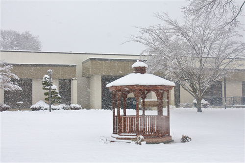 Barbaraellen Koch photo | Town hall during Monday's snowfall.