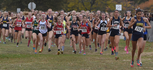 Katherine Lee, far right, led the girls championship race from start to finish and led Shoreham-Wading River to a second straight division championship. (Credit: Robert O'Rourk)