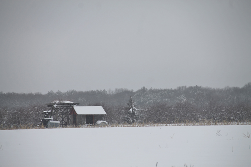 Snow blanketed Calverton during a winter storm last month (Credit: Paul Squire)