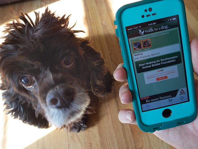 If you're a dog lover, this is an app you should download. (Credit: Joseph Pinciaro)