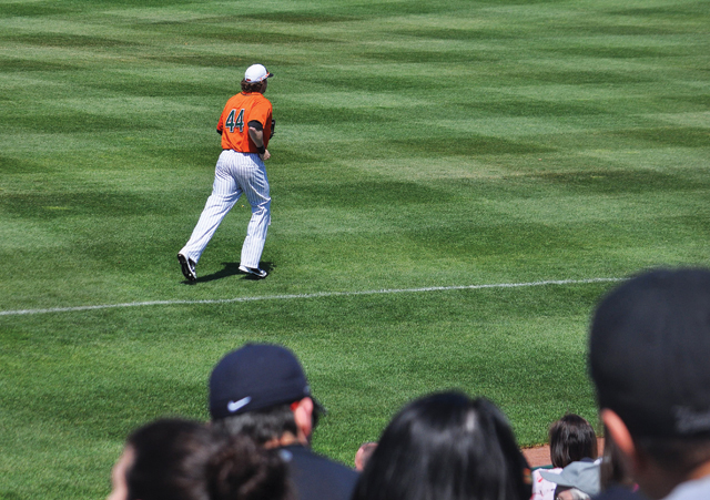 The crowd at Bethpage Ballpark watches Bryan Sabatella take his position in right field Sunday. (Credit: Grant Parpan)