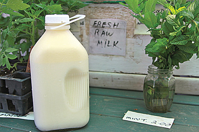 Raw milk at Ty Llwyd Farm in Northville costs $6 a half-gallon. (Credit: Jen Nuzzo, file)