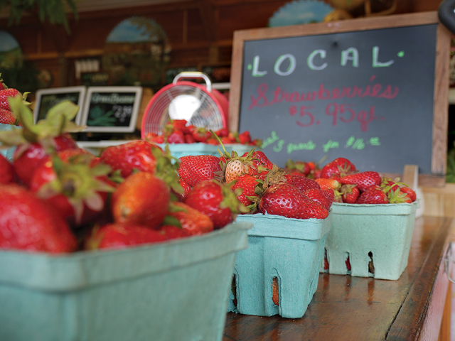 Strawberries at Bayview Farms & Market in Aquebogue. (Credit: Krysten Massa)