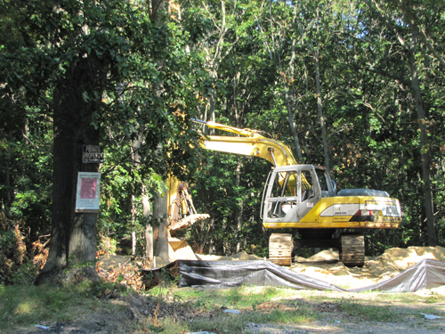 A stop work order was issued last month for illegal land clearing on Ostrander Avenue. (Credit: Tim Gannon)