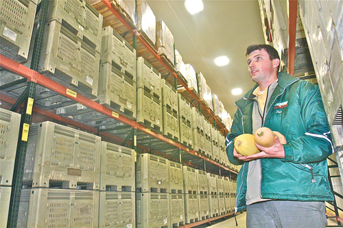 BARBARAELLEN KOCH PHOTO | J. Kings's operation manager Pat Dean in Riverhead in the climate-controlled warehouse.