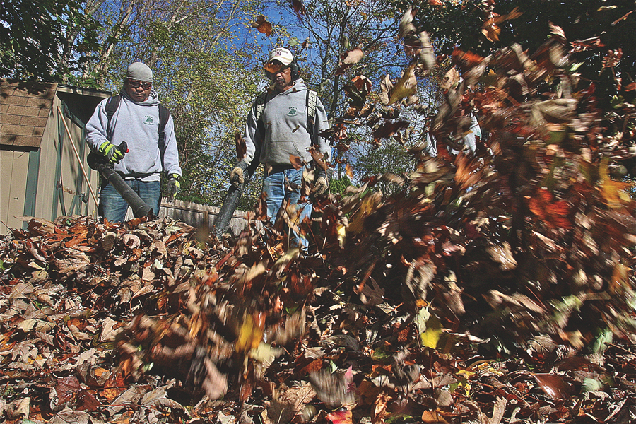 Manuel Canel (left) of Canel Landscaping of Riverhead cleans up leaves in a client's yard in Aquebogue earlier this month with his crew, Jose Canel (center) and Victor Garcia (right). (Credit: Barbaraellen Koch)